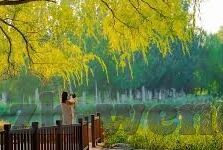 完场比分足球-完场比分足球，绿茵场上的数字终章与激情余韵