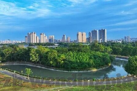 新浪旧版竟足球比分-忆往昔峥嵘岁月，新浪旧版竟足球比分，球迷心中的经典印记