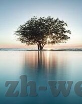 最详细足球比分-深度揭秘，如何获取并解读最详细足球比分，解锁观赛新体验