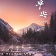 足球比分网 体球网-探秘体球网，足球比分网的全方位解析与深度体验